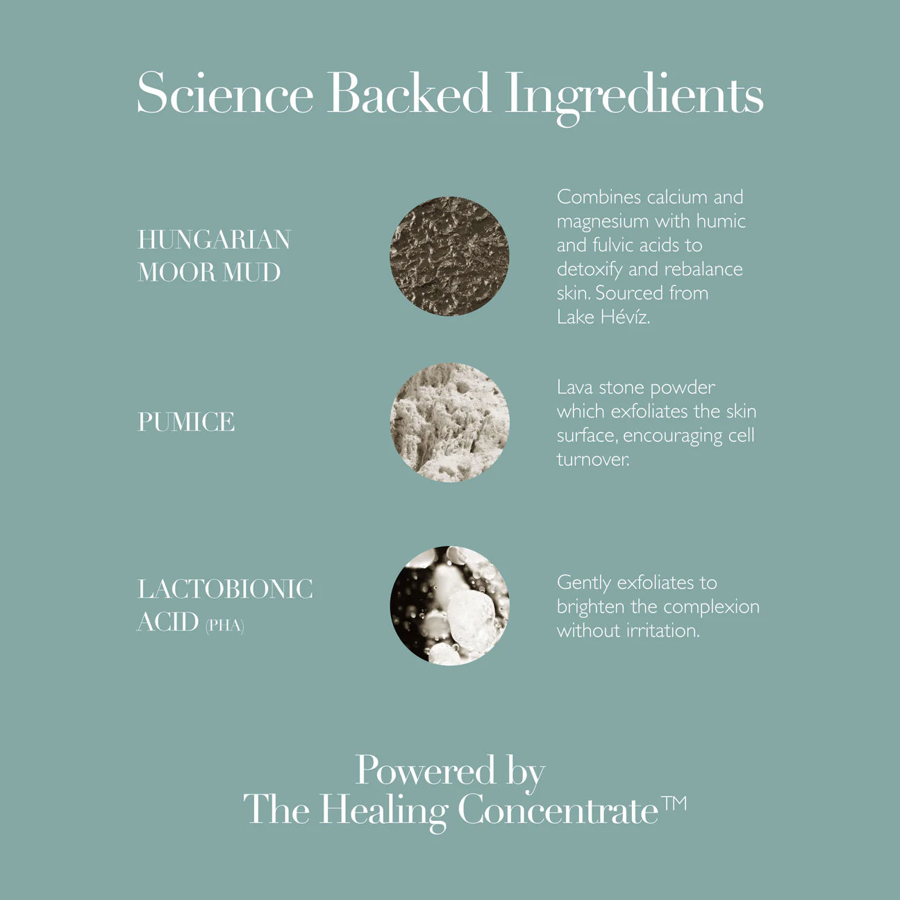Refining Facial Polisher